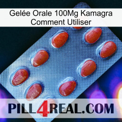 Gelée Orale 100Mg Kamagra Comment Utiliser 06